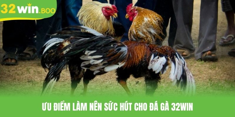 Ưu điểm làm nên sức hút cho đá gà 32WIN